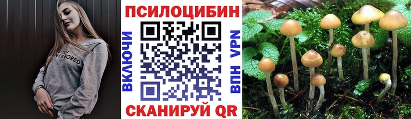 хочу наркоту  Александров  Галлюциногенные грибы MAGIC MUSHROOMS 