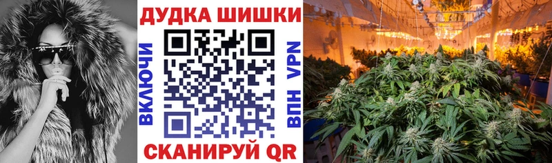 Шишки марихуана OG Kush  где можно купить наркотик  Александров 